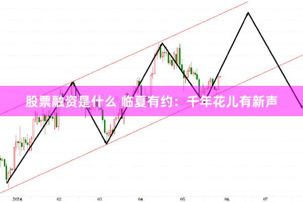 股票融资是什么 临夏有约：千年花儿有新声