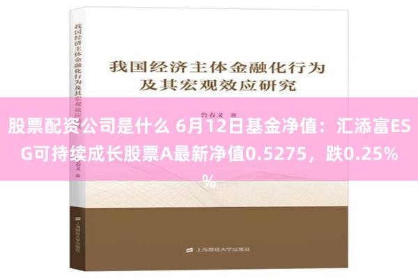 股票配资公司是什么 6月12日基金净值：汇添富ESG可持续成长股票A最新净值0.5275，跌0.25%