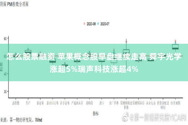 怎么股票融资 苹果概念股早盘继续走高 舜宇光学涨超5%瑞声科技涨超4%