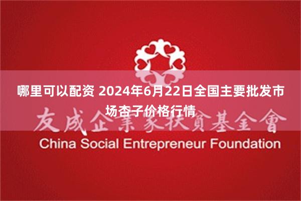 哪里可以配资 2024年6月22日全国主要批发市场杏子价格行情