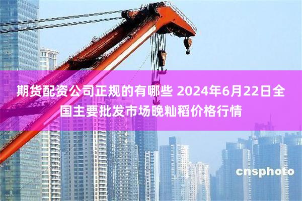 期货配资公司正规的有哪些 2024年6月22日全国主要批发市场晚籼稻价格行情