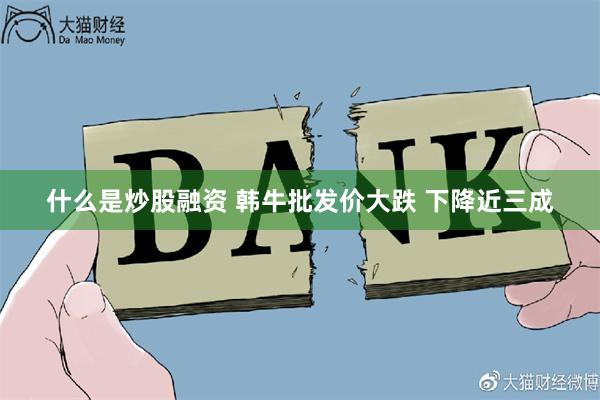 什么是炒股融资 韩牛批发价大跌 下降近三成