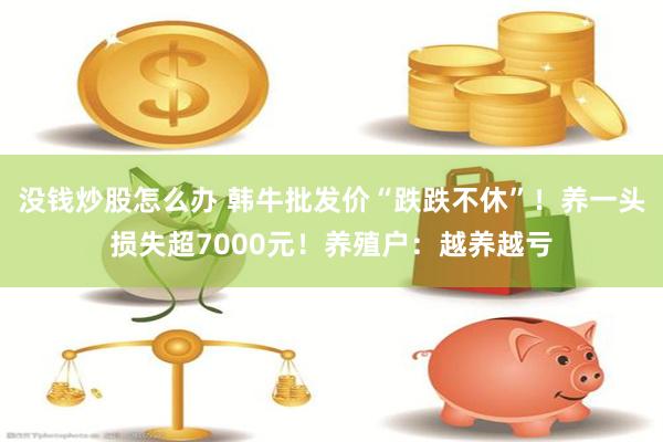 没钱炒股怎么办 韩牛批发价“跌跌不休”！养一头损失超7000元！养殖户：越养越亏