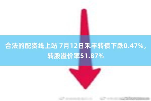 合法的配资线上站 7月12日禾丰转债下跌0.47%，转股溢价率51.87%