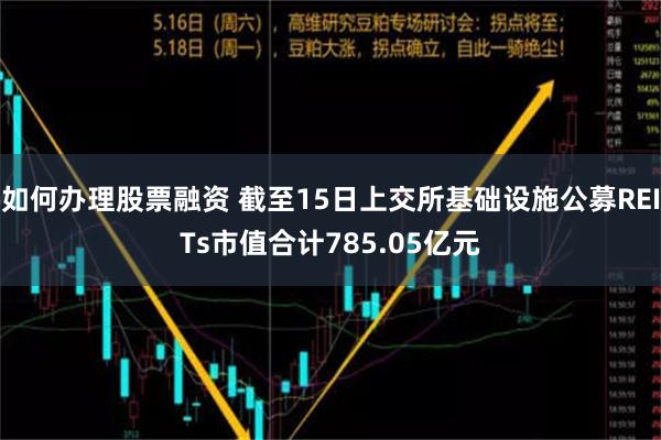 如何办理股票融资 截至15日上交所基础设施公募REITs市值合计785.05亿元