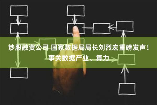 炒股融资公司 国家数据局局长刘烈宏重磅发声！事关数据产业、算力