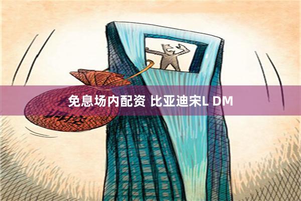 免息场内配资 比亚迪宋L DM