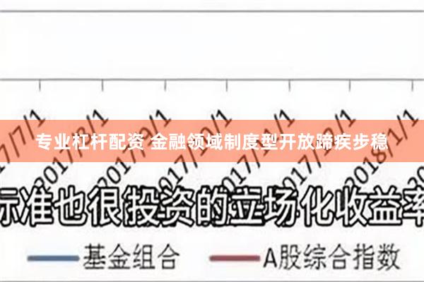 专业杠杆配资 金融领域制度型开放蹄疾步稳