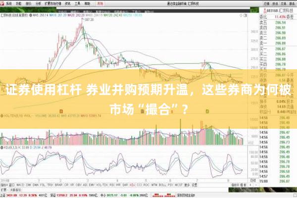 证券使用杠杆 券业并购预期升温，这些券商为何被市场“撮合”？