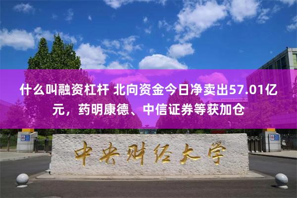 什么叫融资杠杆 北向资金今日净卖出57.01亿元，药明康德、中信证券等获加仓