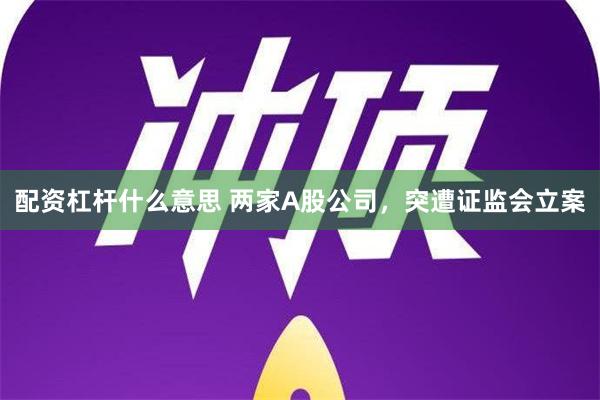 配资杠杆什么意思 两家A股公司，突遭证监会立案