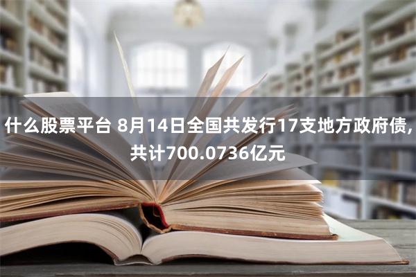 什么股票平台 8月14日全国共发行17支地方政府债,共计700.0736亿元