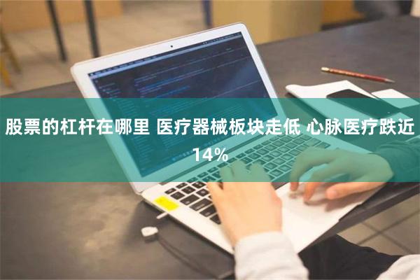 股票的杠杆在哪里 医疗器械板块走低 心脉医疗跌近14%