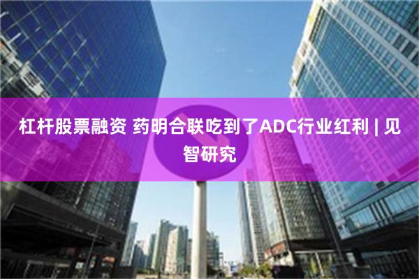 杠杆股票融资 药明合联吃到了ADC行业红利 | 见智研究