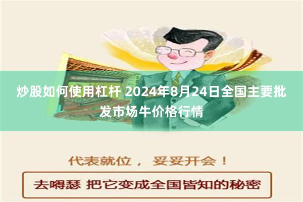 炒股如何使用杠杆 2024年8月24日全国主要批发市场牛价格行情