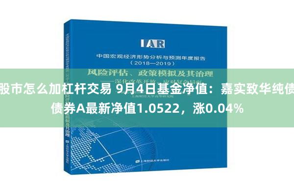 股市怎么加杠杆交易 9月4日基金净值：嘉实致华纯债债券A最新净值1.0522，涨0.04%