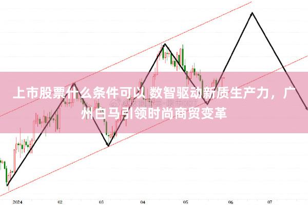 上市股票什么条件可以 数智驱动新质生产力，广州白马引领时尚商贸变革