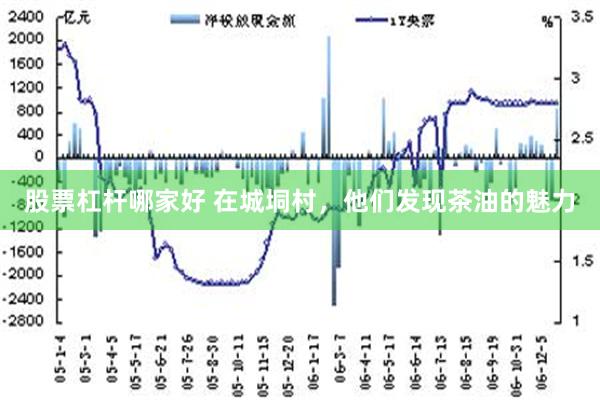 股票杠杆哪家好 在城垌村，他们发现茶油的魅力