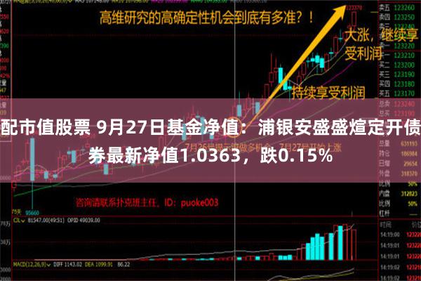 配市值股票 9月27日基金净值：浦银安盛盛煊定开债券最新净值1.0363，跌0.15%