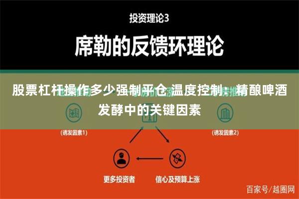 股票杠杆操作多少强制平仓 温度控制：精酿啤酒发酵中的关键因素