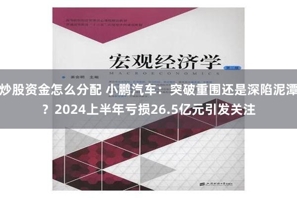 炒股资金怎么分配 小鹏汽车：突破重围还是深陷泥潭？2024上半年亏损26.5亿元引发关注