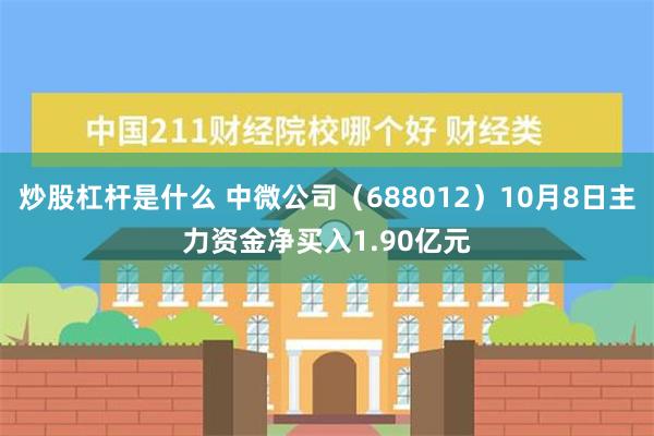 炒股杠杆是什么 中微公司（688012）10月8日主力资金净买入1.90亿元