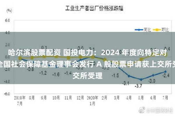 哈尔滨股票配资 国投电力：2024 年度向特定对象全国社会保障基金理事会发行 A 股股票申请获上交所受理