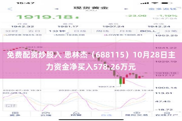 免费配资炒股入 思林杰（688115）10月28日主力资金净买入578.26万元