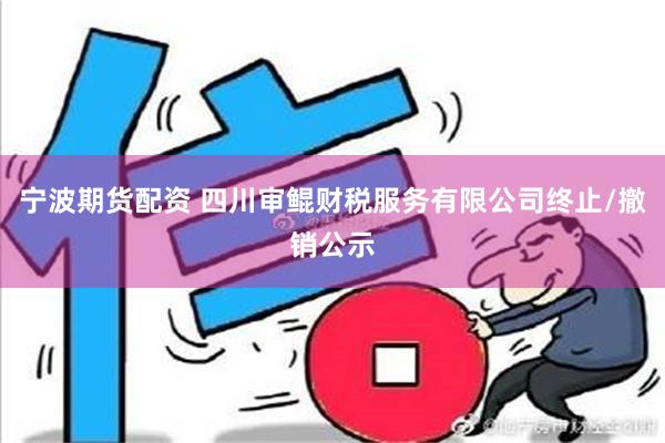 宁波期货配资 四川审鲲财税服务有限公司终止/撤销公示