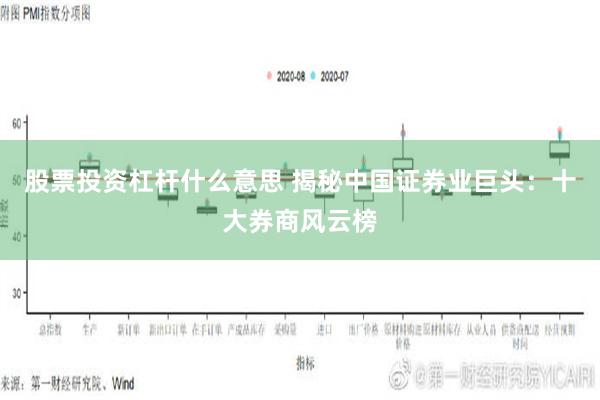 股票投资杠杆什么意思 揭秘中国证券业巨头：十大券商风云榜