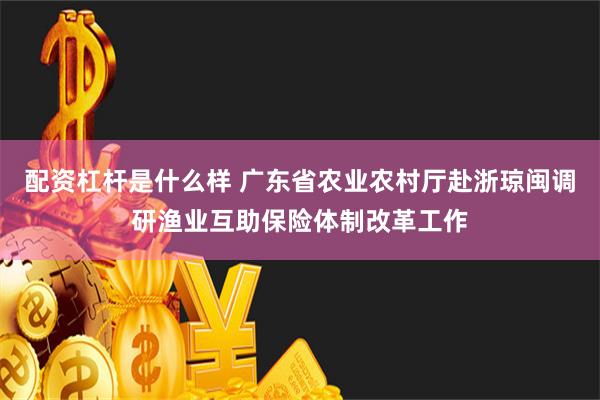 配资杠杆是什么样 广东省农业农村厅赴浙琼闽调研渔业互助保险体制改革工作