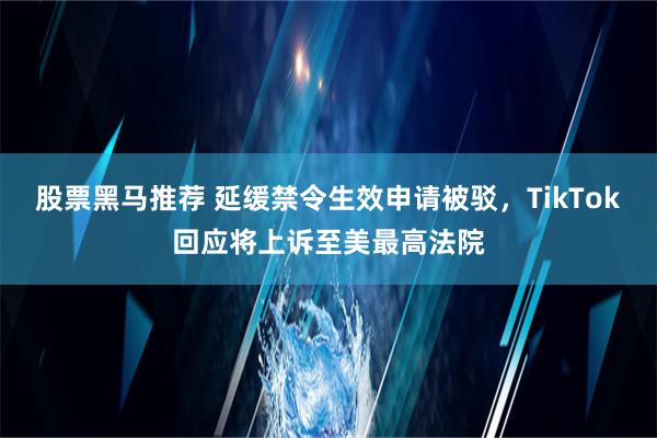 股票黑马推荐 延缓禁令生效申请被驳，TikTok回应将上诉至美最高法院