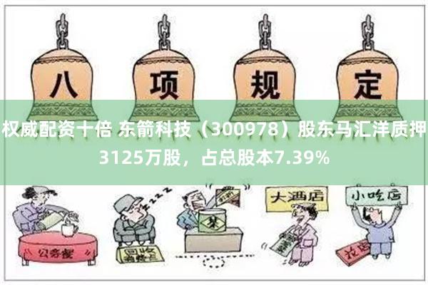 权威配资十倍 东箭科技（300978）股东马汇洋质押3125万股，占总股本7.39%