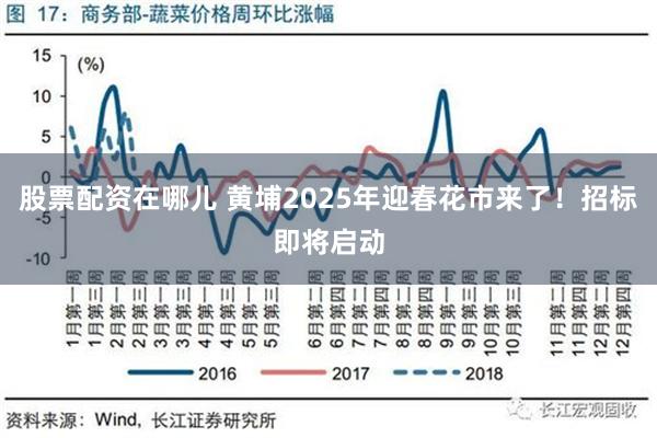 股票配资在哪儿 黄埔2025年迎春花市来了！招标即将启动