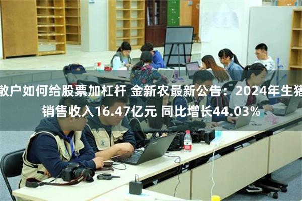 散户如何给股票加杠杆 金新农最新公告：2024年生猪销售收入16.47亿元 同比增长44.03%