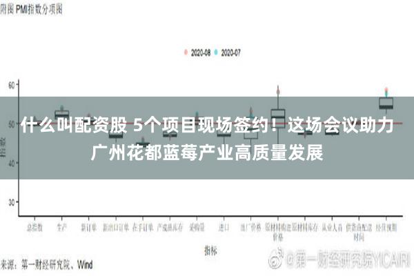 什么叫配资股 5个项目现场签约！这场会议助力广州花都蓝莓产业高质量发展