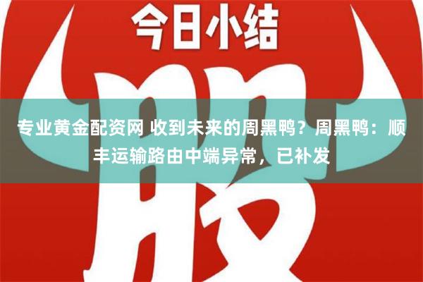 专业黄金配资网 收到未来的周黑鸭？周黑鸭：顺丰运输路由中端异常，已补发